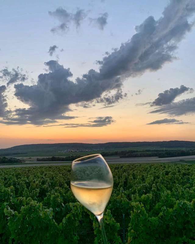 Extérieur, soir. Photographie d'une coupe de Champagne en gros plan, au second plan des vignes, en arrière plan la montagne de Reims